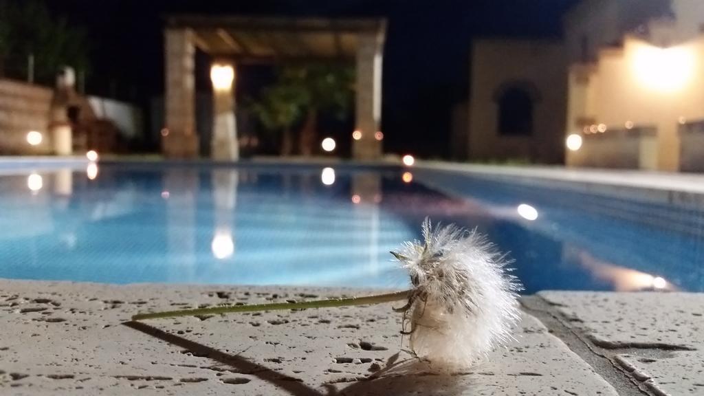 La Palma Vacanze Sogliano Cavour エクステリア 写真